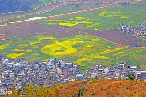 生基改運|改運種生基——「重新來過一回」